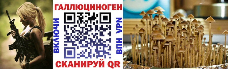 Галлюциногенные грибы мицелий  продажа наркотиков  блэк спрут ссылка  Киселёвск 